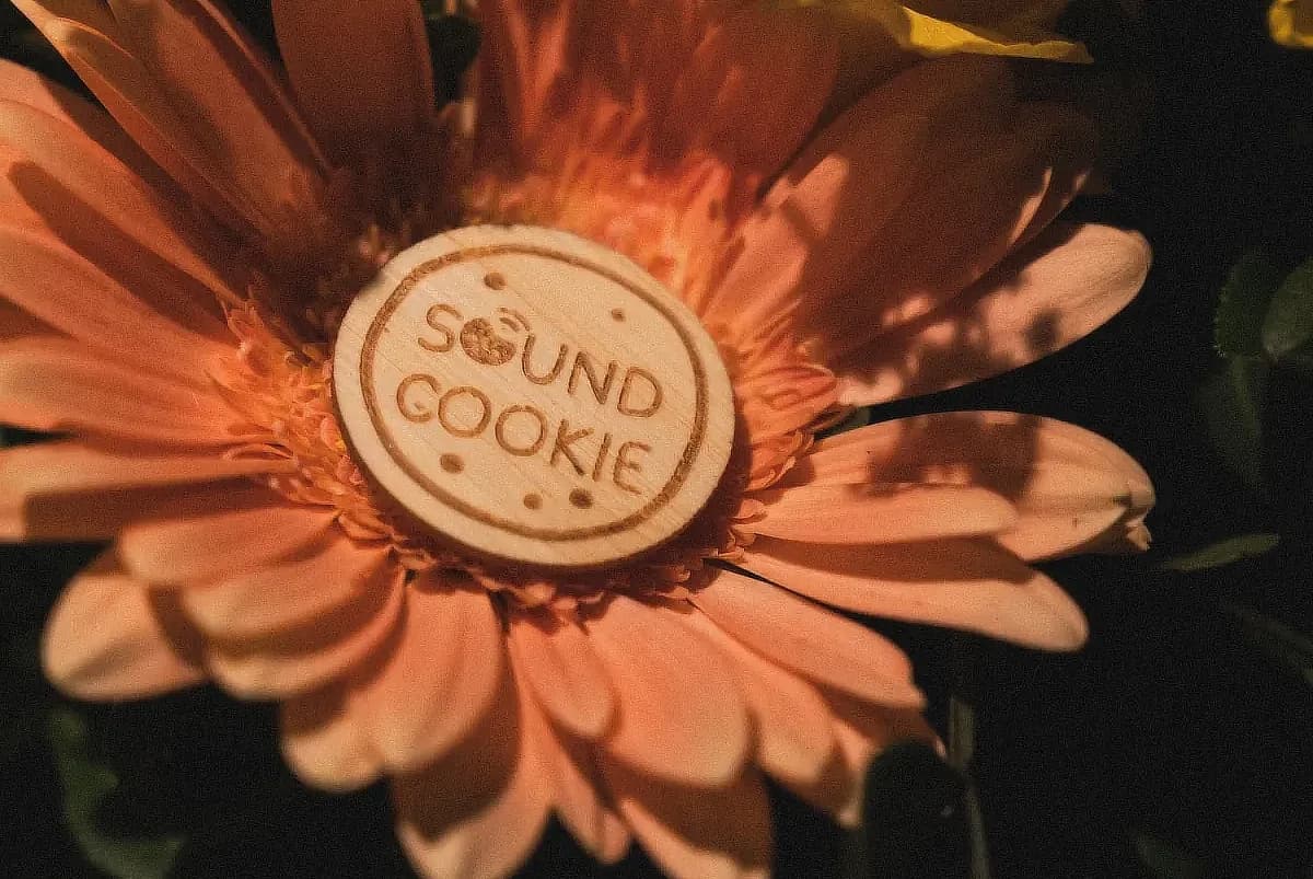 SoundCookie Holzplakette mit Schriftzug auf orangefarbener Blüte von oben fotografiert